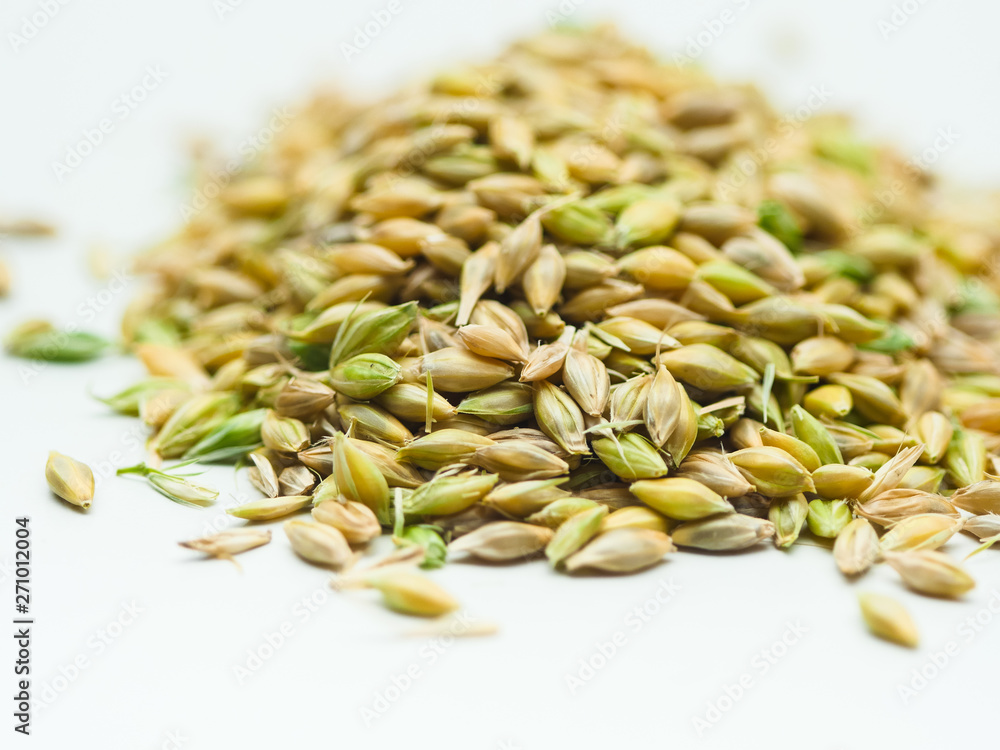 Obraz premium Close up of fresh green ears wheat and grains