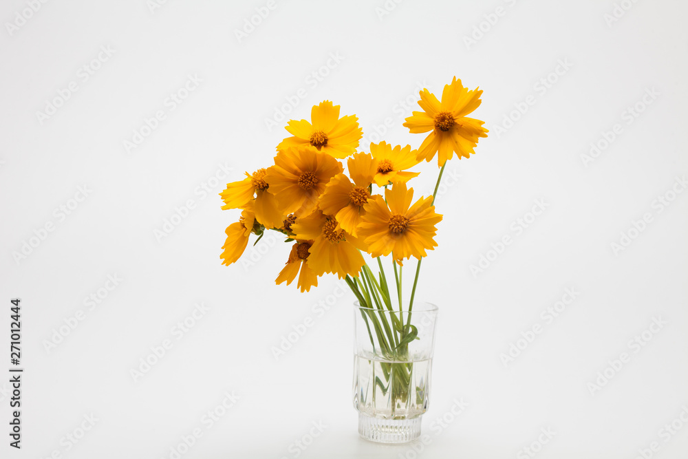 Decorative Orange flowers yellow cosmos