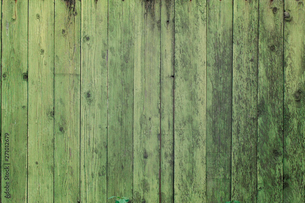 Surface of an empty green wooden background. Surface of an empty green wooden background.
