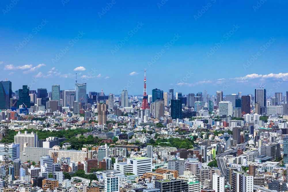 (東京都-都市風景)高層ビルラウンジから望む芝方面の風景６