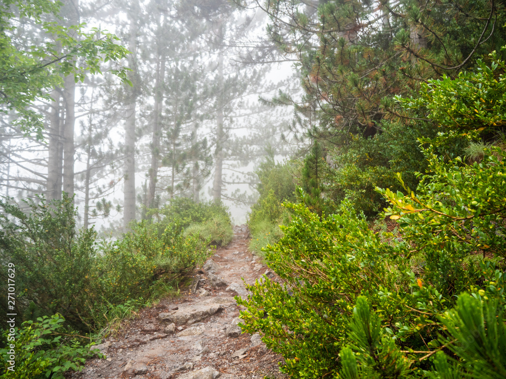 Fototapeta premium A fascinating and difficult walk while climbing Mount Olympus in Greece