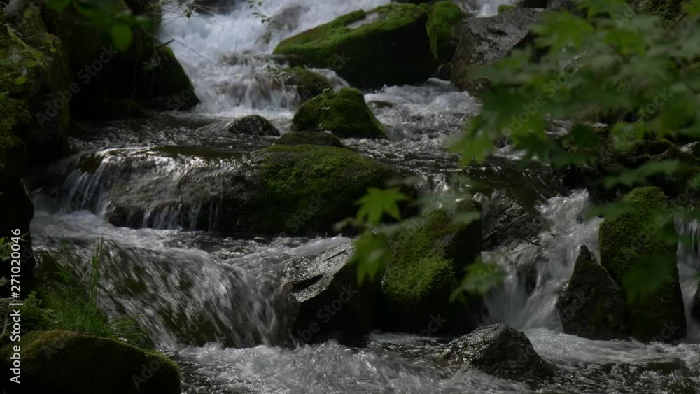 waterfall in forest waterfall in forest