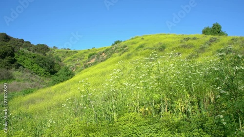 Beautiful nature landscape around Peter F. Schabarum Regional Park photo