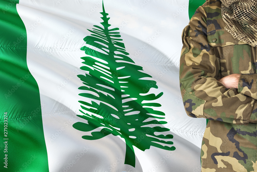 Φωτογραφία Crossed arms soldier with national waving flag on background - Norfolk Island Military theme