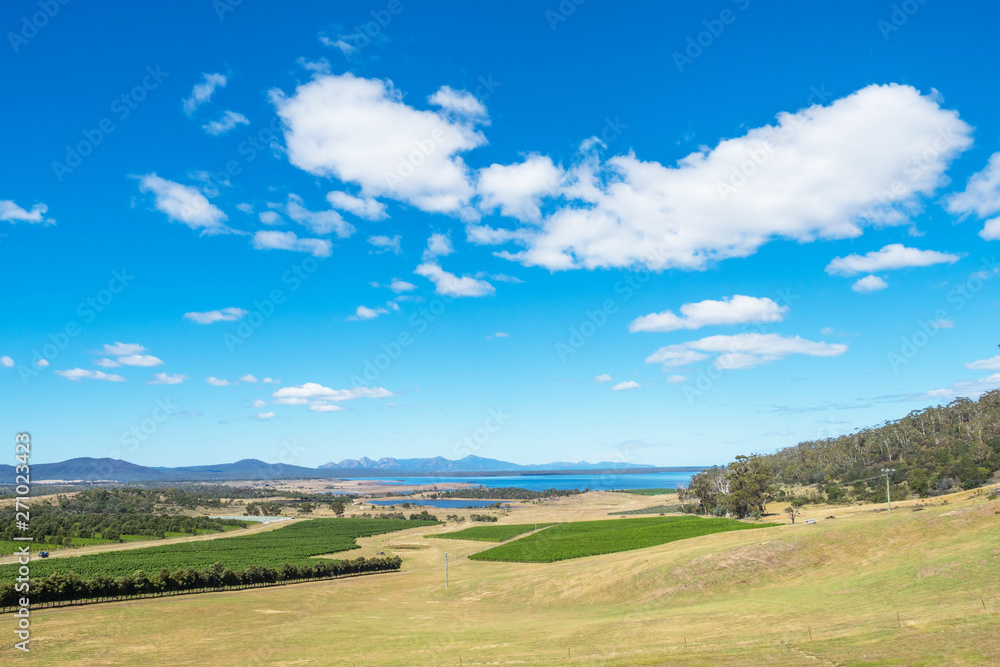 Fototapeta premium Moulting Lagoon Game Reserve