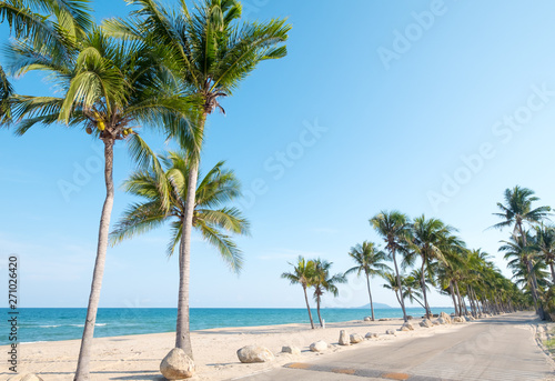 Beautiful landscape of coconut palm tree on tropical beach (seascape) in summer. Summer background concept. © jakkapan