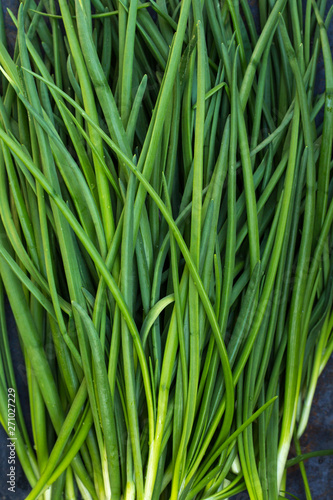 Green onions background