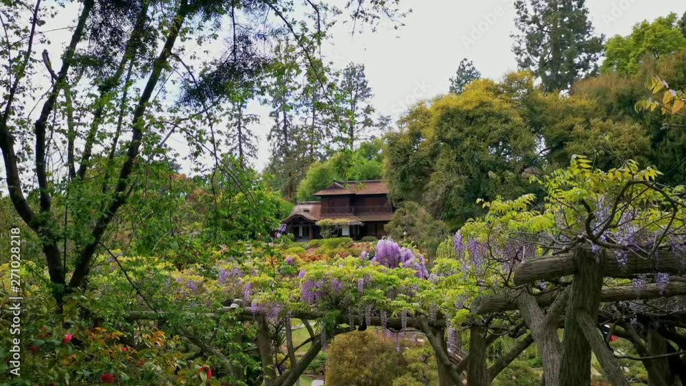 Natural scene around Huntington Library Natural scene around Huntington Library