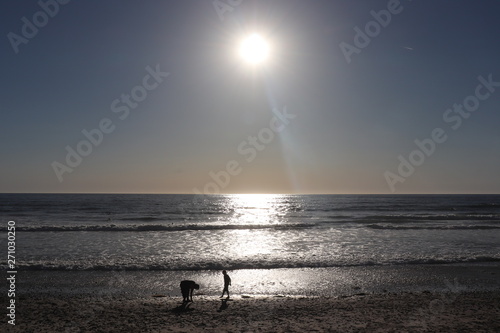 sunset over the sea