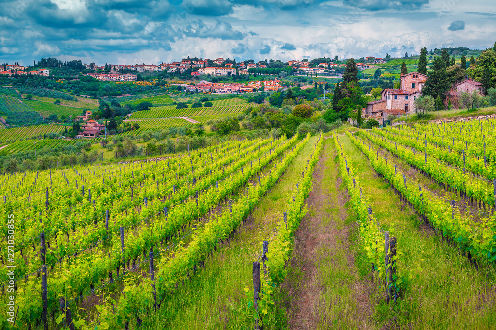 Wonderful cityscape with green vineyard and cloudy sky, Tuscany, Italy