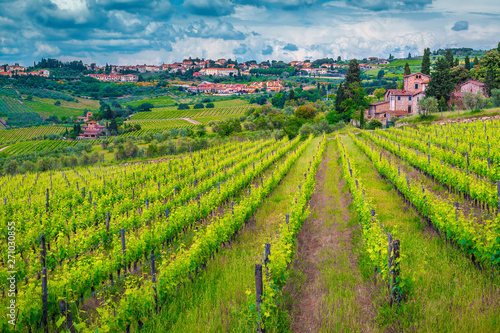 Wonderful cityscape with green vineyard and cloudy sky  Tuscany  Italy