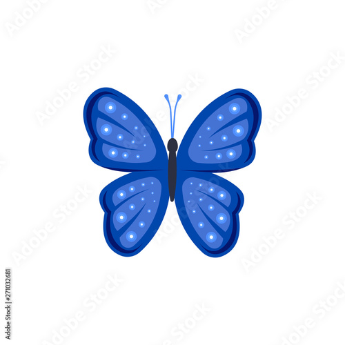 Vector graphic illustration. Blue butterfly. The element of decoration. © marinashevchenko