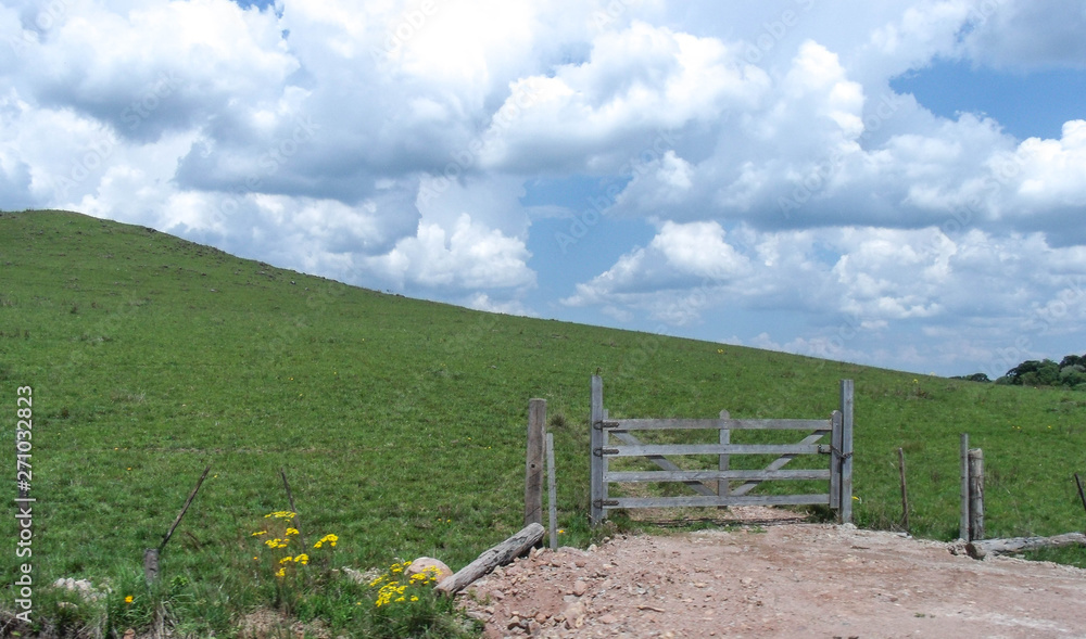 wooden fence in a field