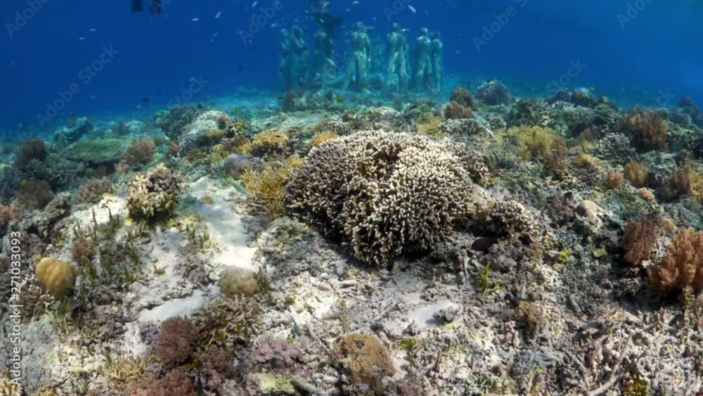 custom made wallpaper toronto digitalCamera Swimming Over Reef, Moving Toward Snorkelers Swimming Over Underwater Statues - Gili Islands, Bali