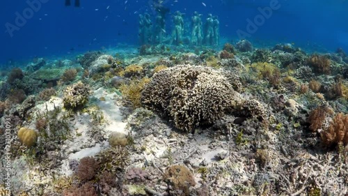 Wallpaper Mural Camera Swimming Over Reef, Moving Toward Snorkelers Swimming Over Underwater Statues - Gili Islands, Bali Torontodigital.ca