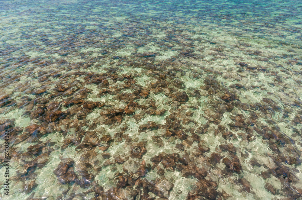 Fototapeta premium beautiful the beach on island close up clear blue sea water. vacation background on summer in Thailand coast.