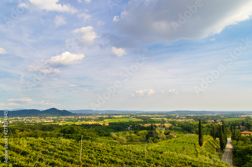 Sunset in the vineyards of Rosazzo