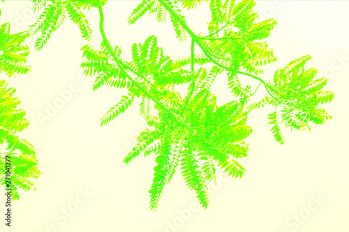 Leaves on green abstract background.