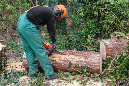Mann zersägt Bäume nach Unwetter Forstarbeiter