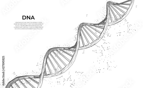 DNA. Abstract 3d polygonal wireframe DNA molecule. Medical science, genetic biotechnology, chemistry biology, gene cell concept vector illustration or background. innovation technology concept