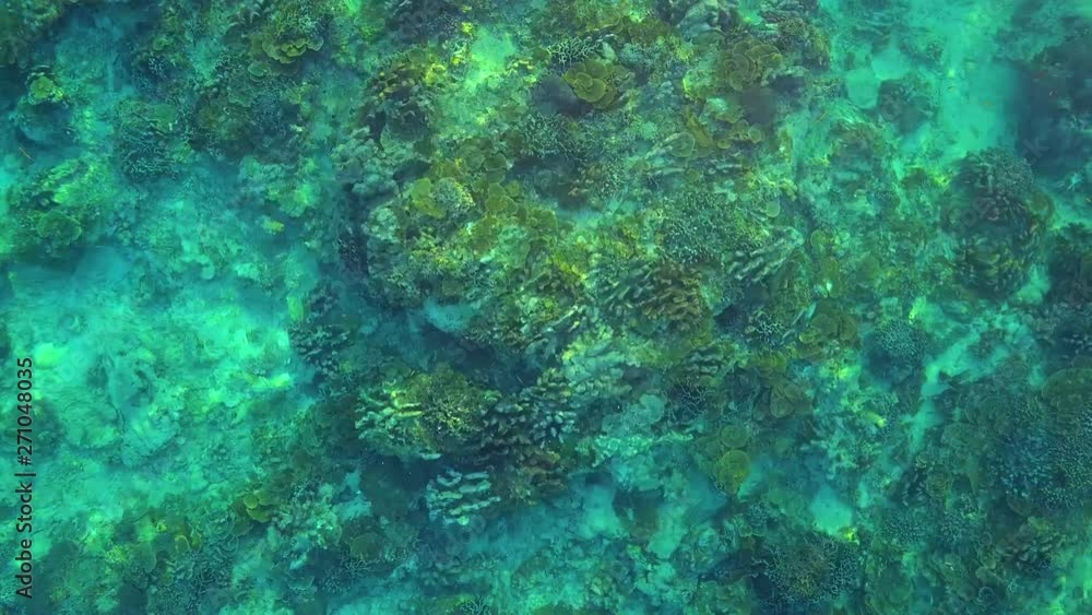 Aerial Ascent: Stunning Coral Reef Under Bright Blue Water - Gili Islands, Bali Aerial Ascent: Stunning Coral Reef Under Bright Blue Water - Gili Islands, Bali