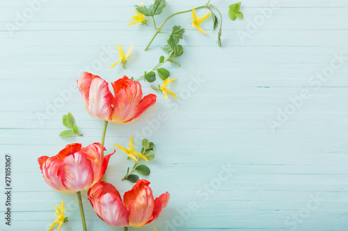 red tulips on green wooden background