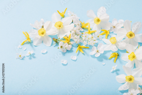 daffodils and cherry flowers on blue background background