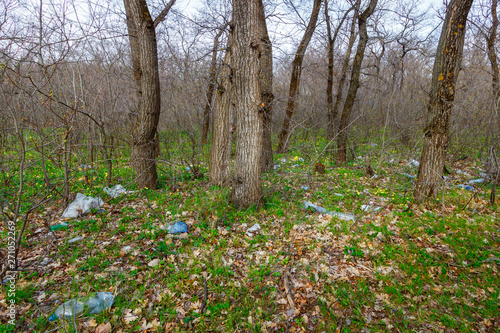 The leafless springtime forest with plastic garbage in green grasses