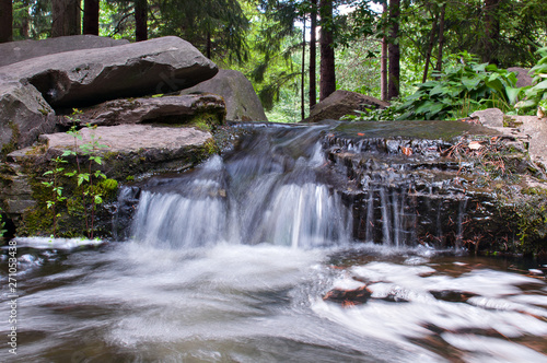 forest waterfalls