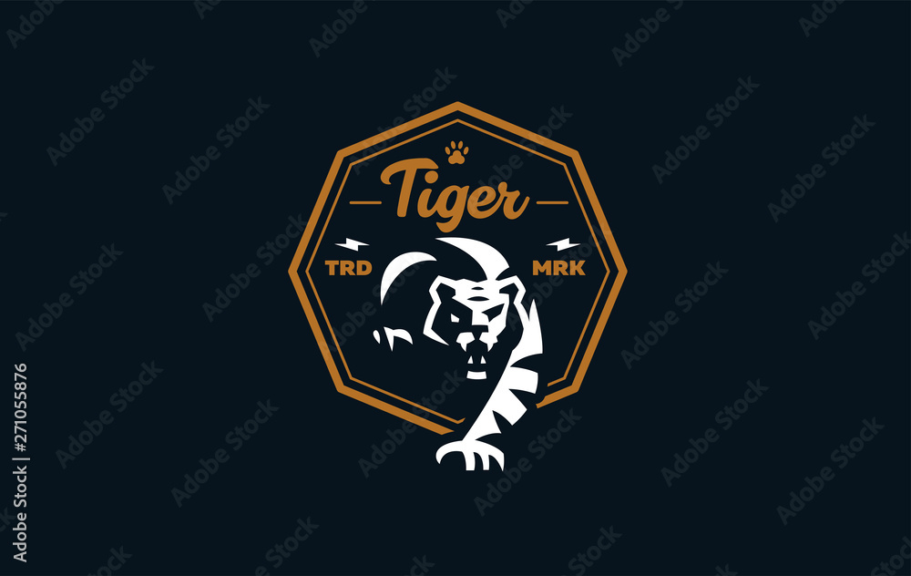 The image of a tiger The image of a tiger