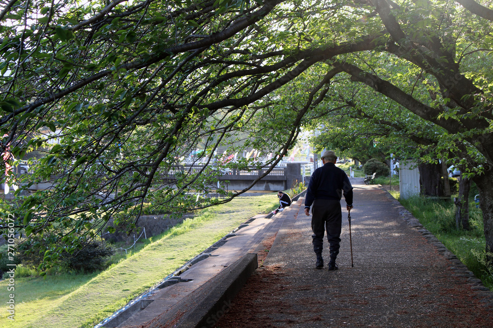 An old man with cane enjoying walk at one park in Beppu