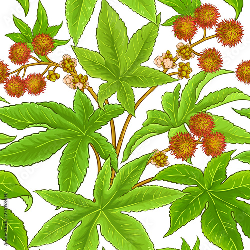 castor vector pattern