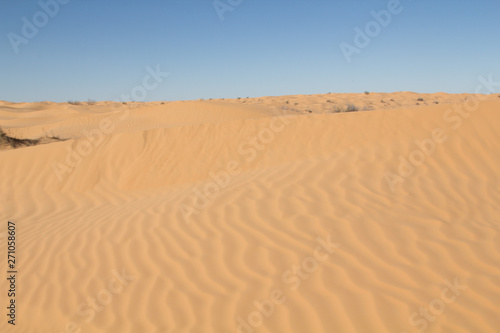 Patterns in the sand formed by the wind and a little vegetation in the dunes of the Northern Sahara desert in Tunisia