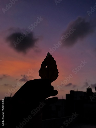 Silhouette of a hand holding leaf photo. Photo clicked at surat, Guj - India.