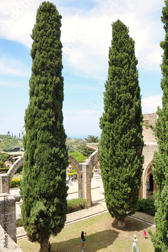 tall cypress trees in courtyard of Bellapais Abbey