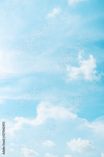 vertical frame spring and summer season with beauty clear and bright sky and cloudy background with copy space