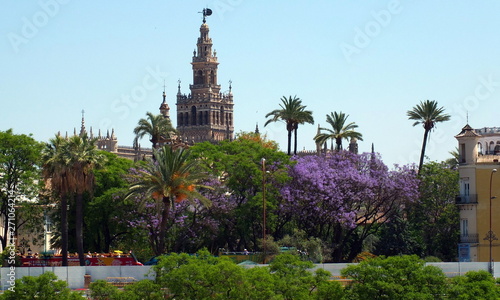 The Cathedral From Triana, Sevilla