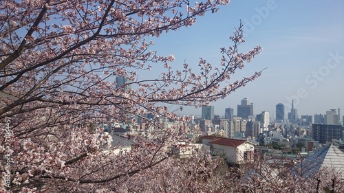 Wallpaper Mural winter in the park Torontodigital.ca