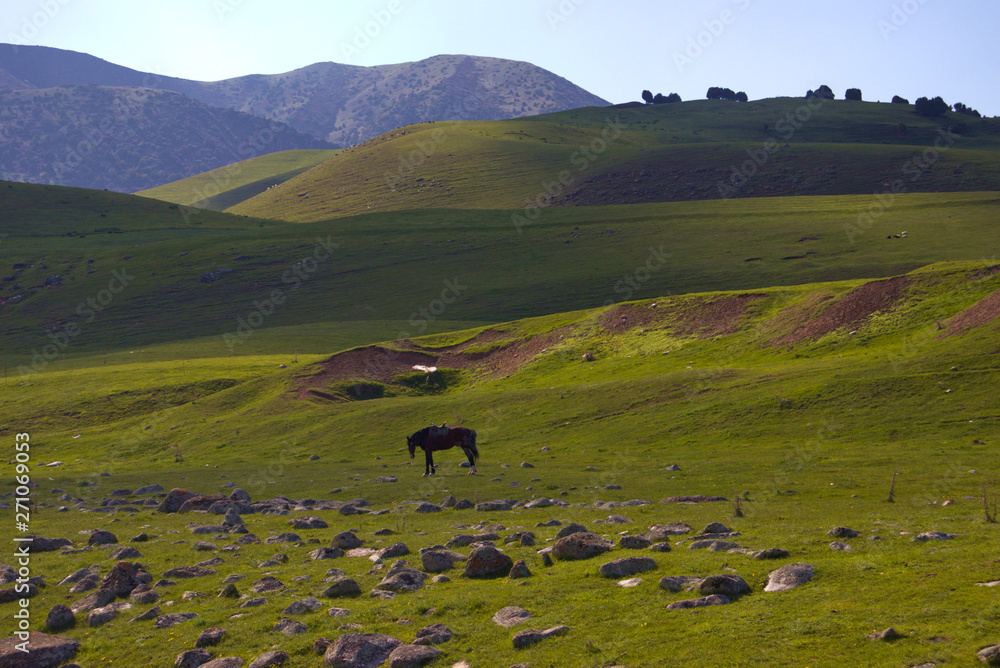 Mountain landscapes of Kyrgyzstan. Spring in the mountains. Mountain landscapes of Kyrgyzstan. Spring in the mountains.