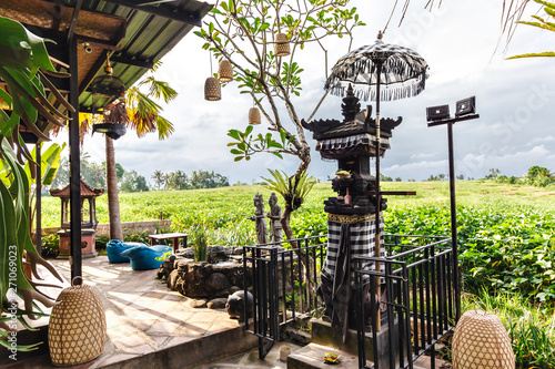 Hindu statue in a Rice terrace