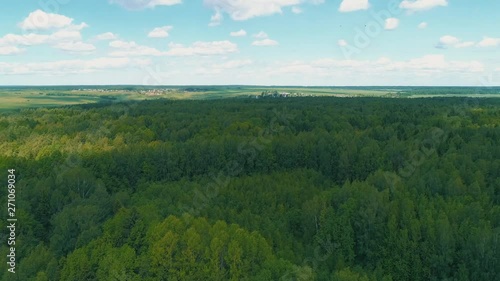 Wallpaper Mural Green summer forest Torontodigital.ca