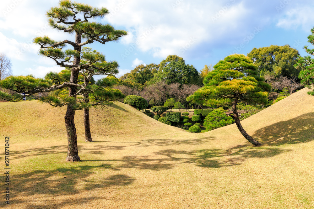 Fototapeta premium Traditional Artistic Japanese Garden in Kumamoto, Kyushu, Japan