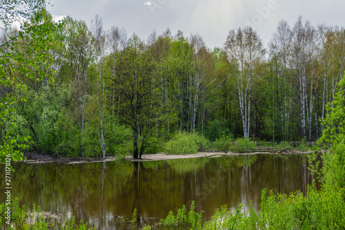 spring grove of trees flooded during high water