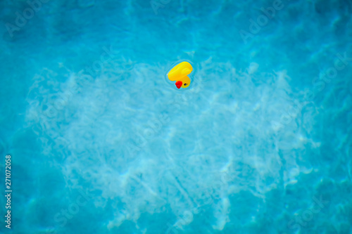 Fotografie a rubber duck upturned and floating on a swimming pool - Dead In The Water