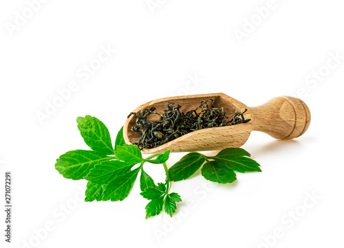 Jiaogulan Miracle grass leaf Chinese herb tea in spoon on white photo