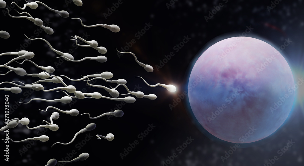 Naklejka premium 3d rendering Sperm and egg cell science content.