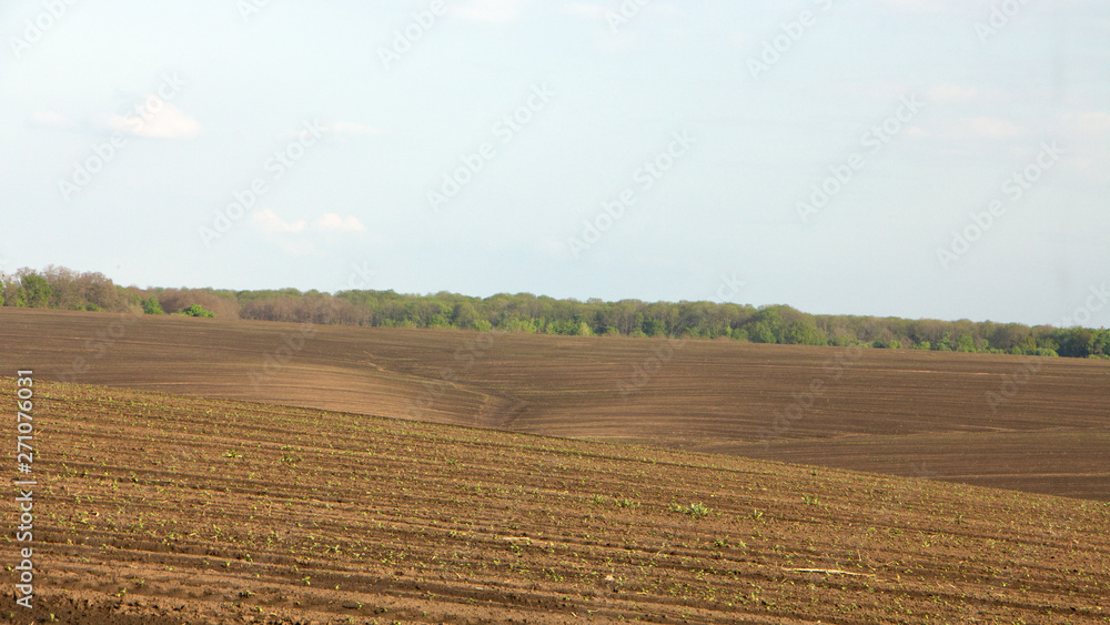 Agrarian fields after heavy rain, deposits of chernozem and various debris on the field.