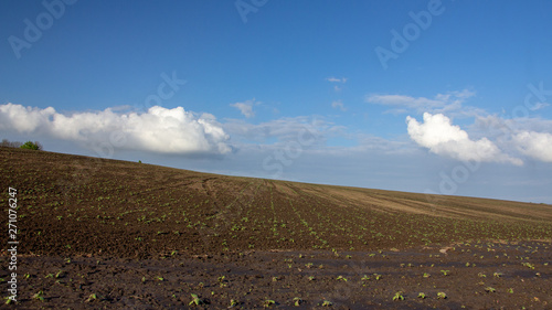 Agrarian fields after heavy rain  deposits of chernozem and various debris on the field.