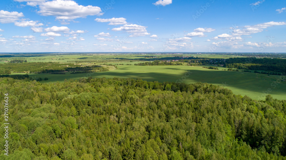 Obraz premium Beautiful green summer field and forest with shadow of cloud