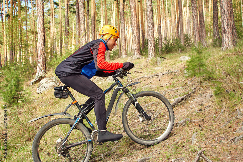 Fototapeta premium cyclist riding a mountain bike along forest road
